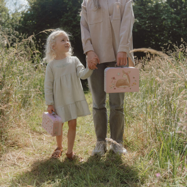 Suitcases Fairy Garden FSC